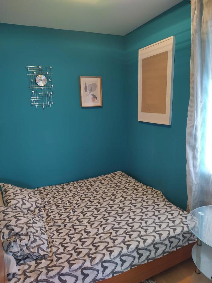 קארלובץ Studio Apartman Karler מראה חיצוני תמונה