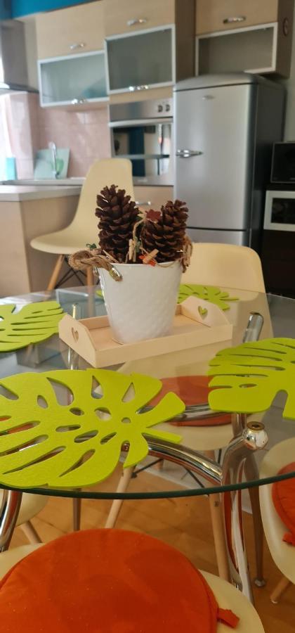 קארלובץ Studio Apartman Karler מראה חיצוני תמונה